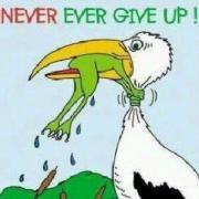 Never ever give up!
