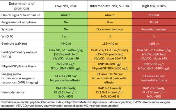 Источник: ESC/ERS guidelines