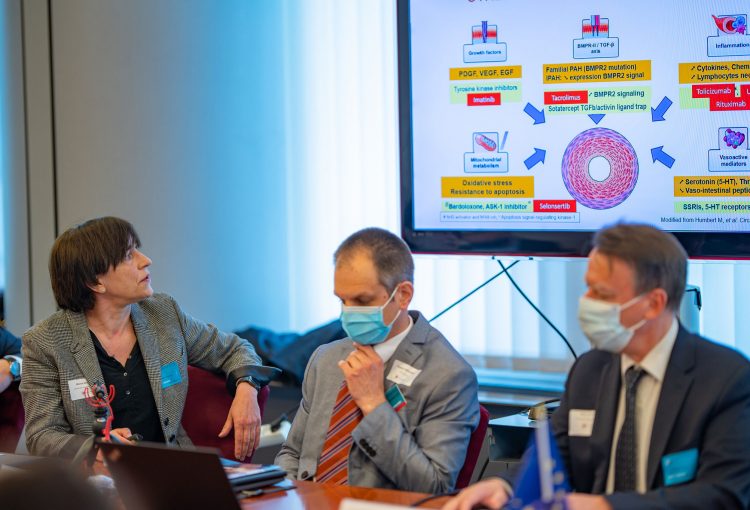 Call to Action on Unmet Needs of Patients with Pulmonary Hypertension - 2022